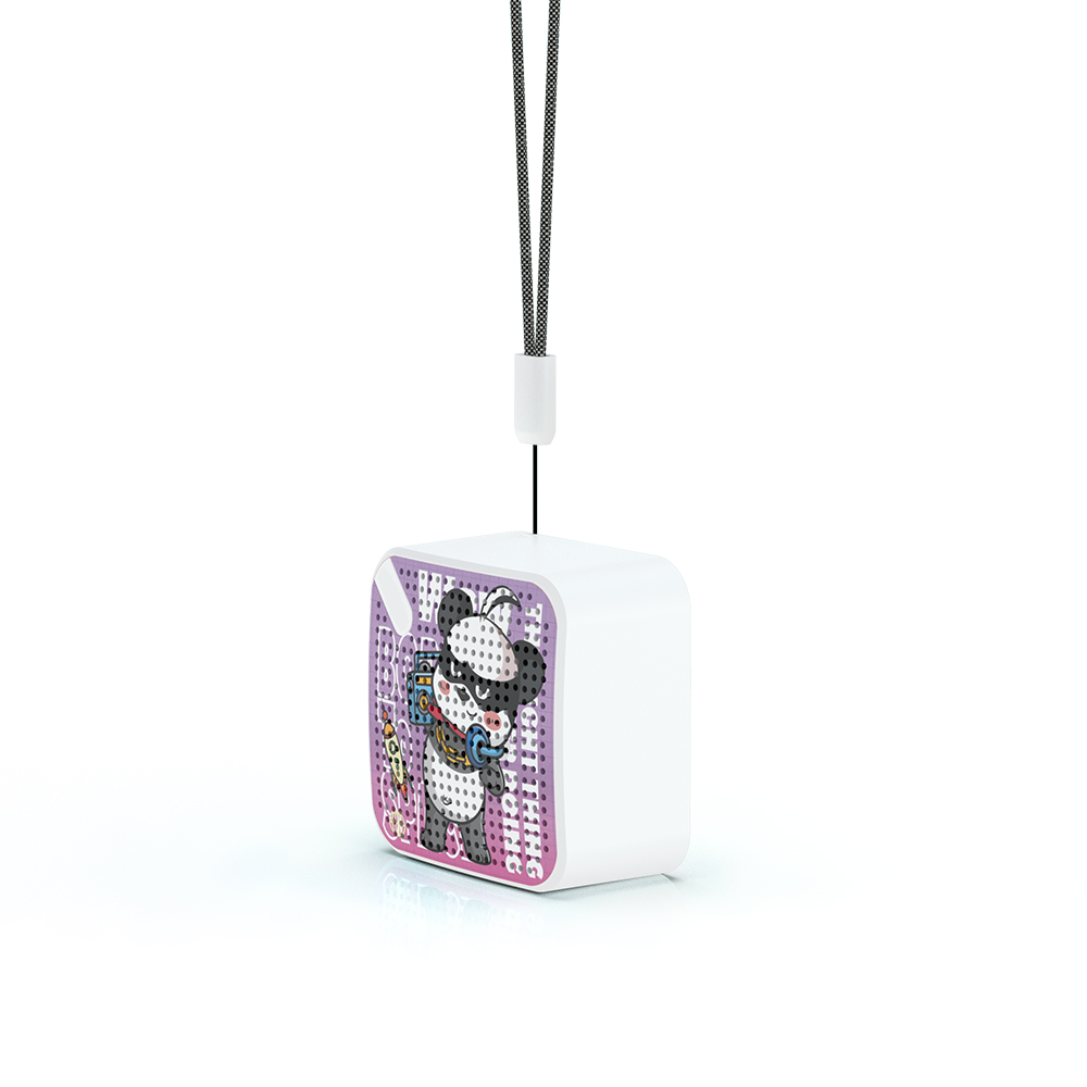 Portable Audio System